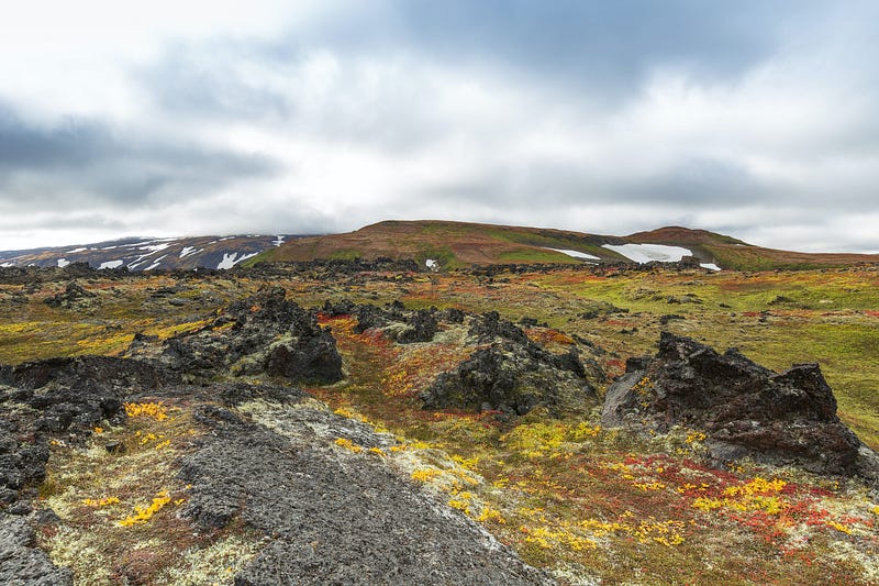 The Ins and Outs of TIAA Traditional Annuity: Making an Informed Choice