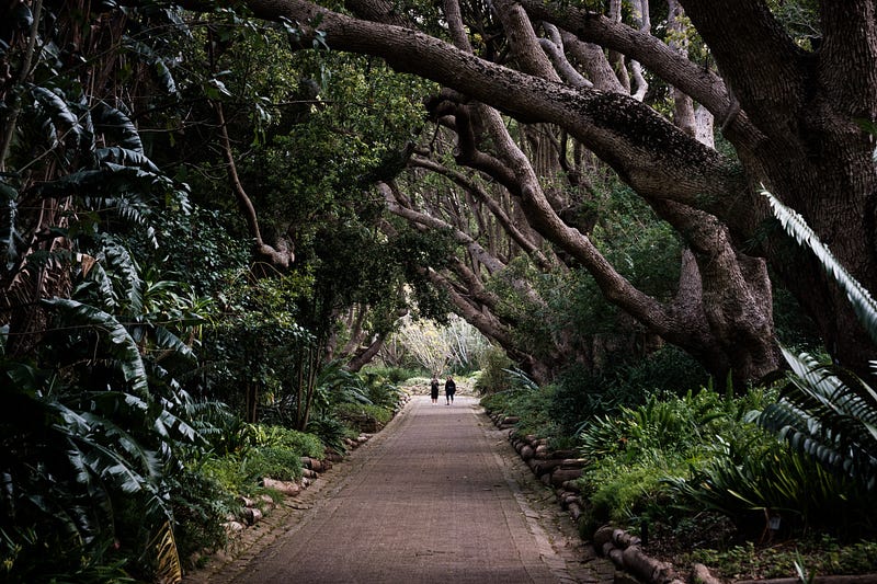 Deciphering Annuity Contracts: Who is the Annuity Owner?