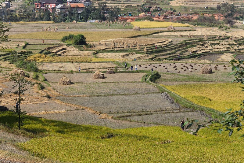 Is 15-Year Term Life Insurance the Right Fit for You? Here’s What You Need to Know