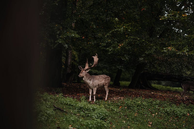 Adapting to Life’s Changes: How Frequently Can You Modify 401(k) Contributions?