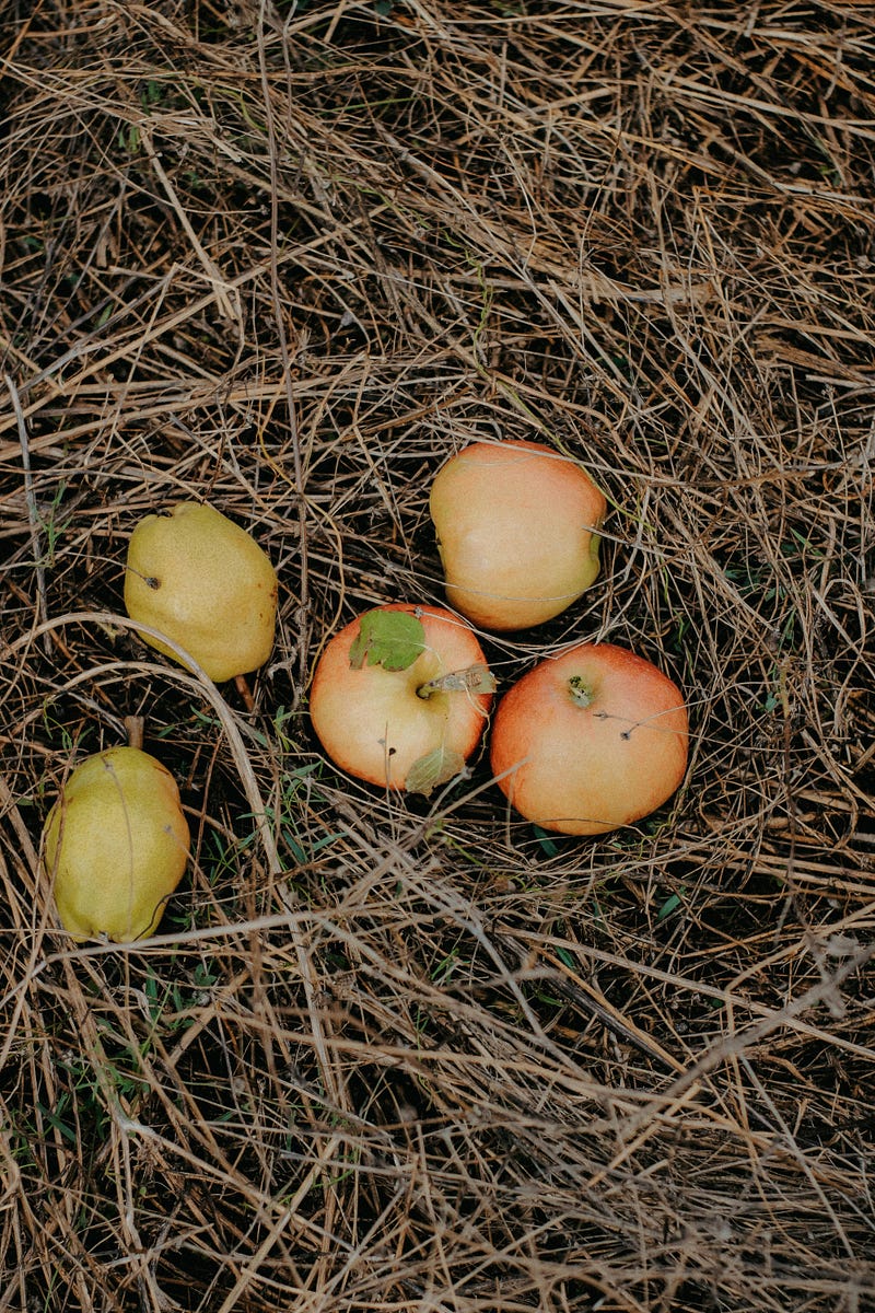 Exploring the Unique Features of Safe Harbor 401(k) Plans