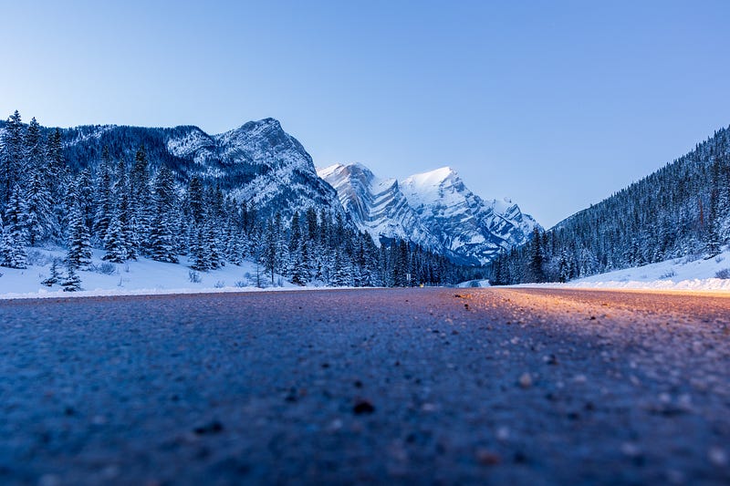 Photo by Mark S on Unsplash