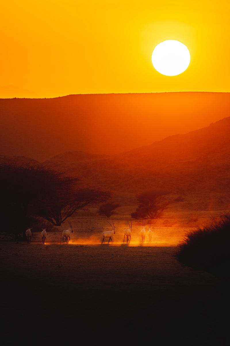 401(k) Scams: How to Identify and Avoid Retirement Plan Fraud