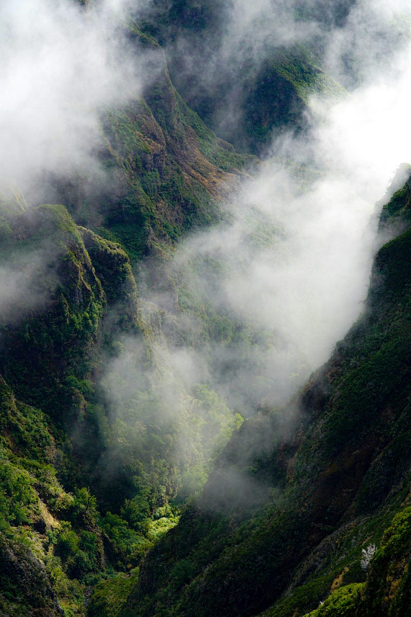 Annuity Insights: Understanding Principal Return Dynamics