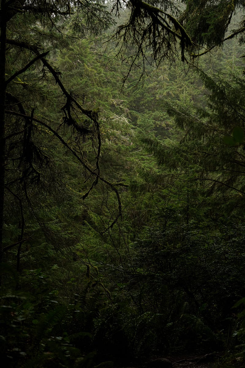 The Attraction of Annuities: What Drives People to Invest in Them?