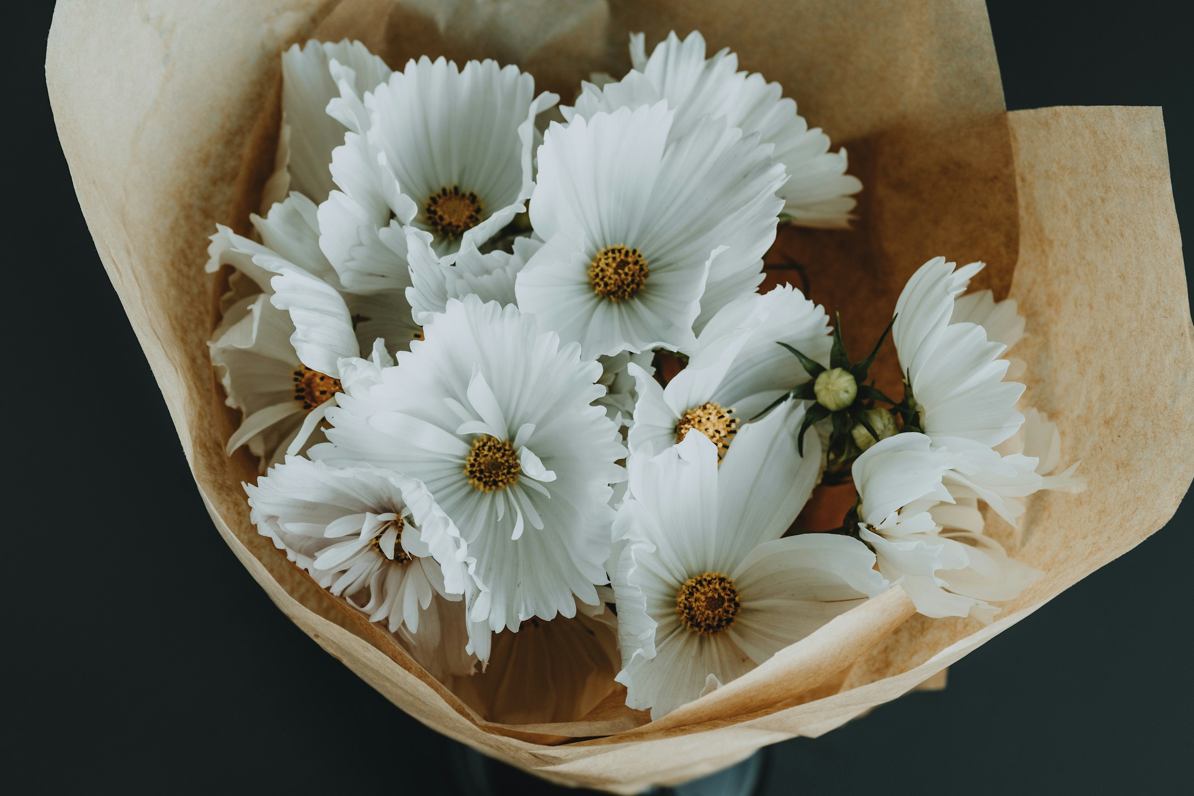 The Untold Story of Social Security and Inflation