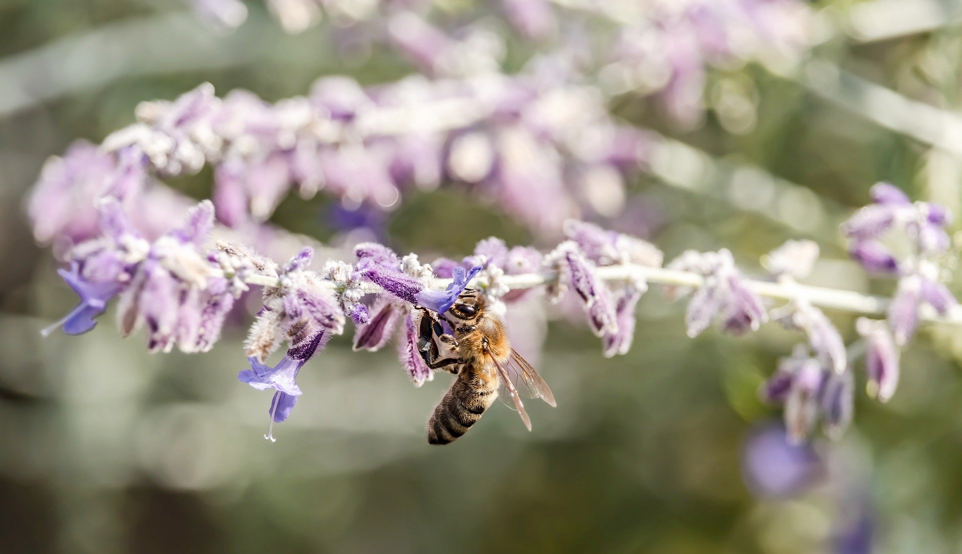 Social Security for Teachers: What You May Not Know