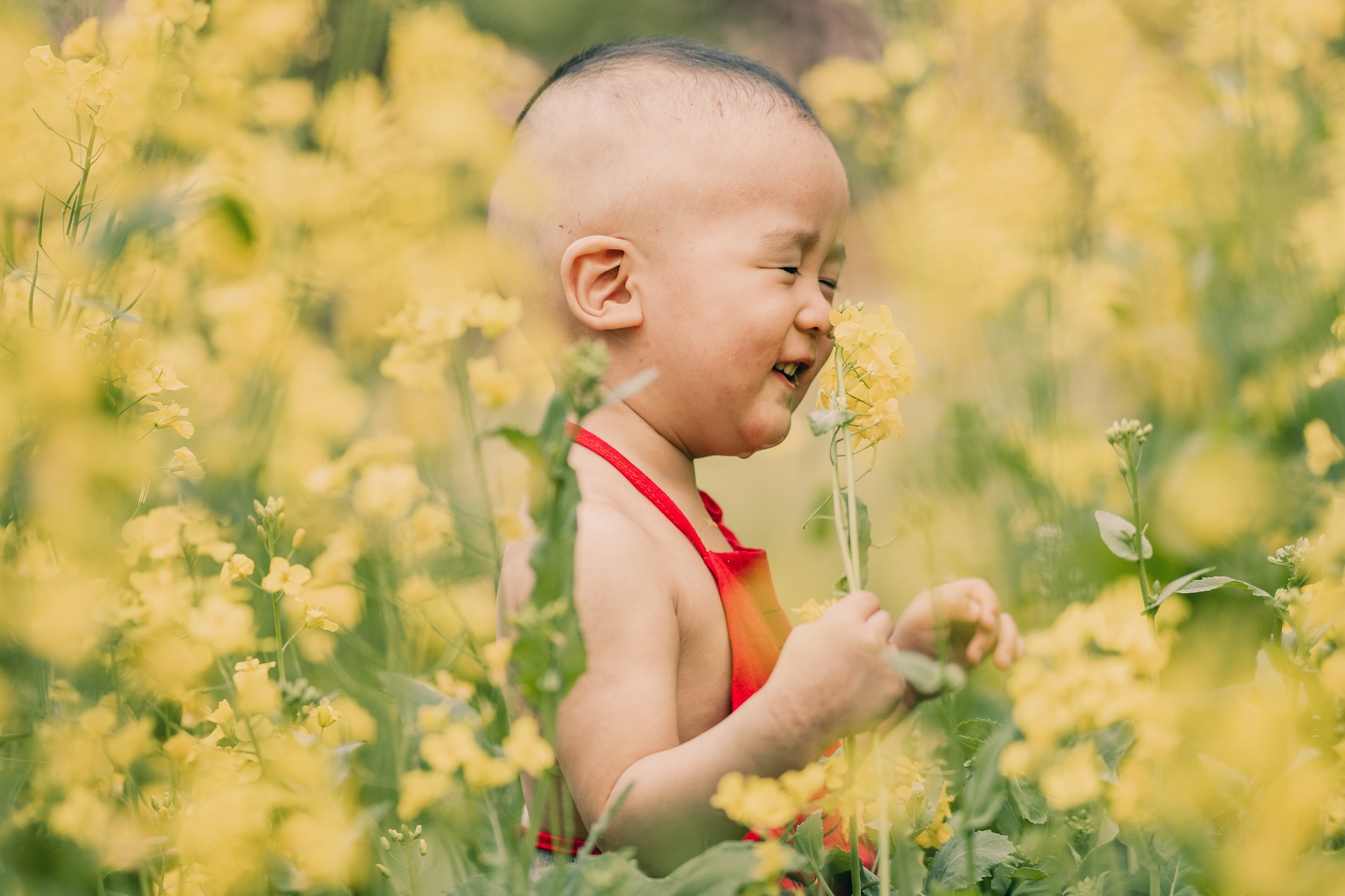 How Medicare Can Help You Save on Prescription Drugs