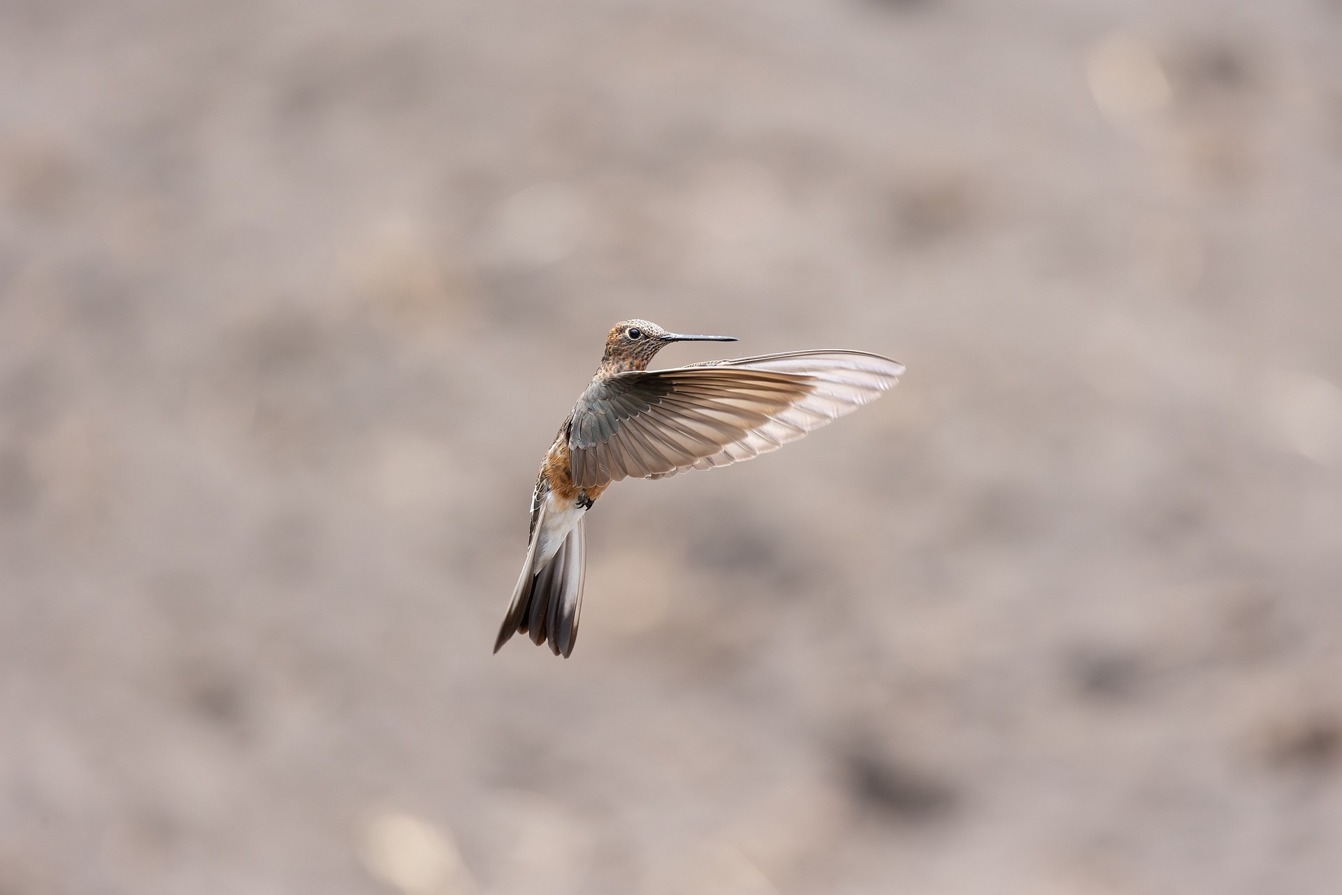 Everything You Need to Know About Social Security Tax Rates