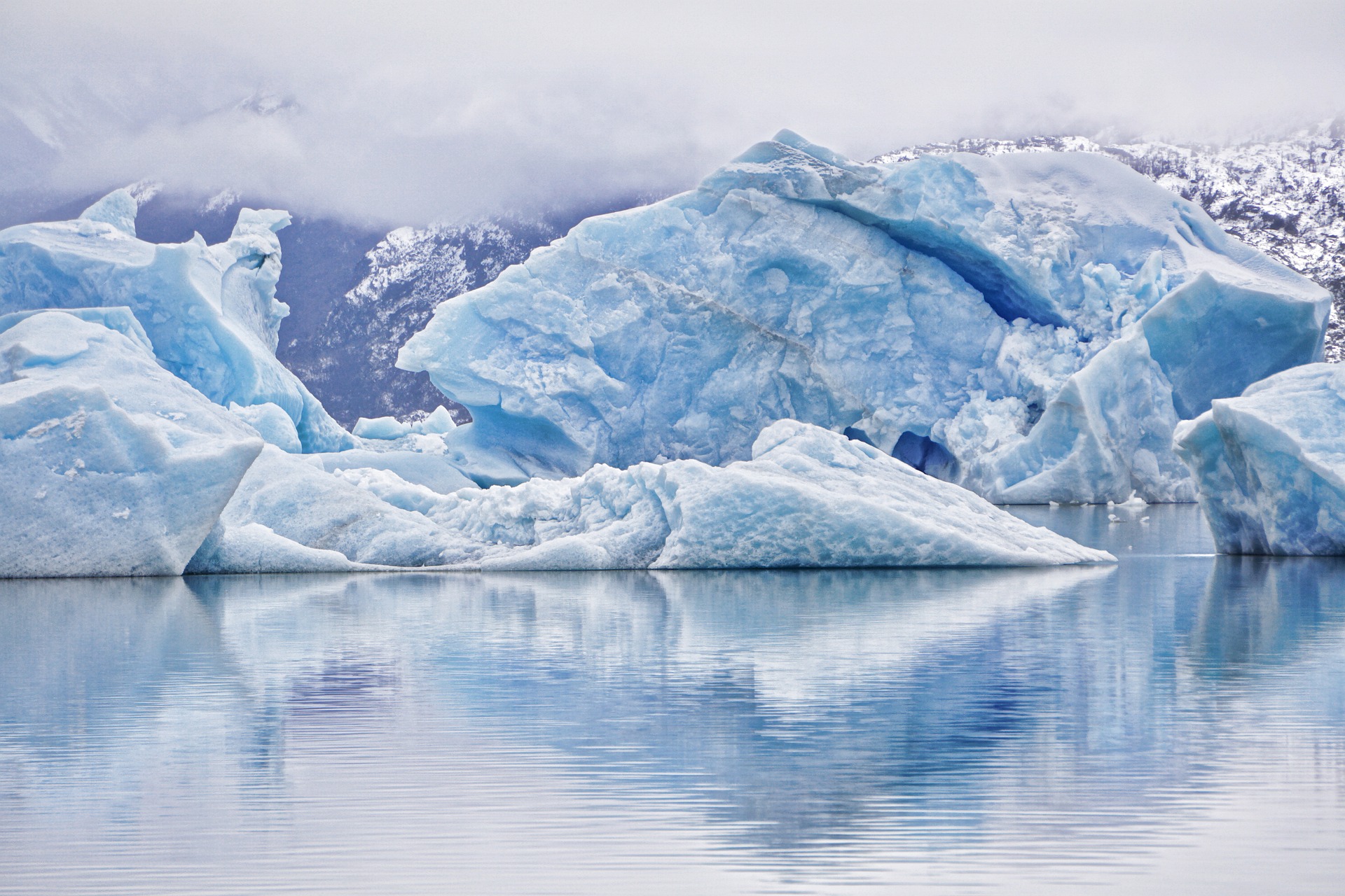 What’s the Role of a Probate Judge?