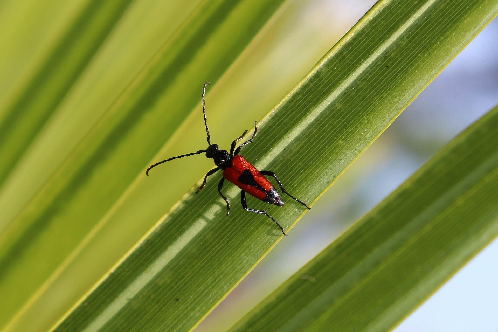 Can You Rely on Medicare for Mental Health Services?
