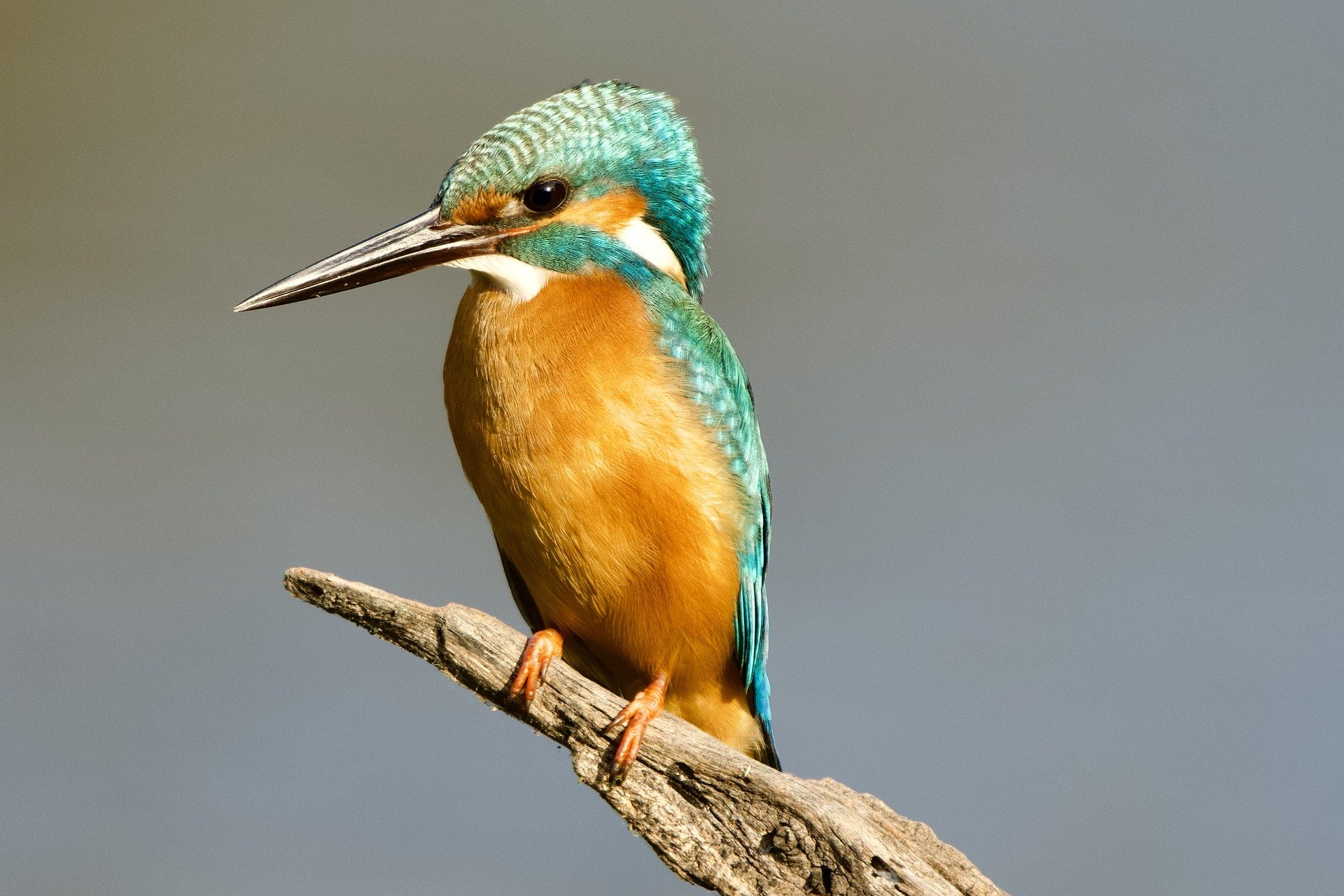 Guaranteed Pension Income: Is It Really as Safe as You Think?