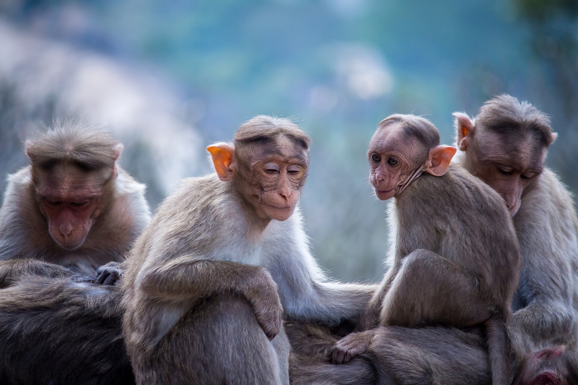 Retiring Early? Discover How It Could Affect Your Social Security