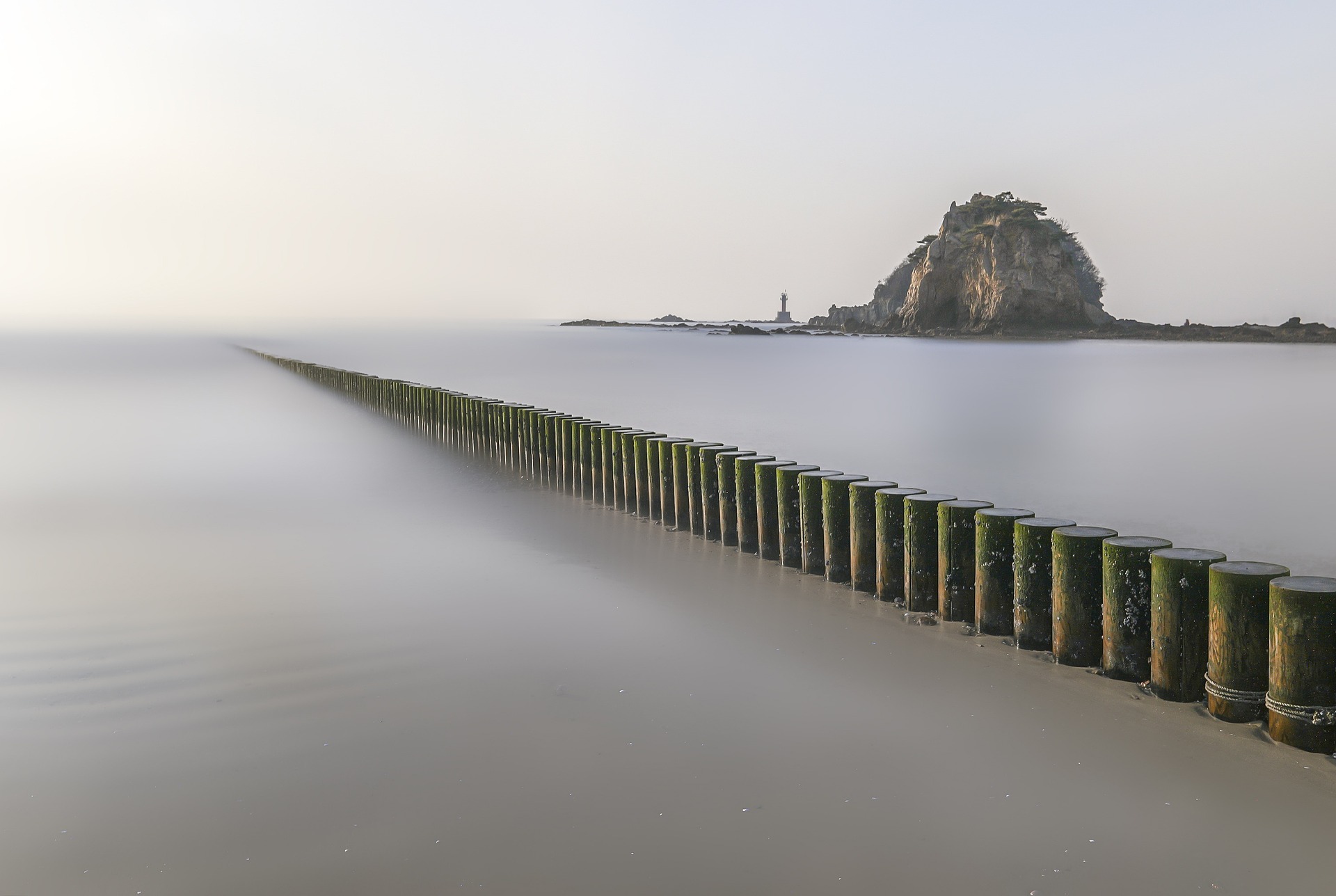 Everything You Never Knew About Survivor Benefits for Social Security