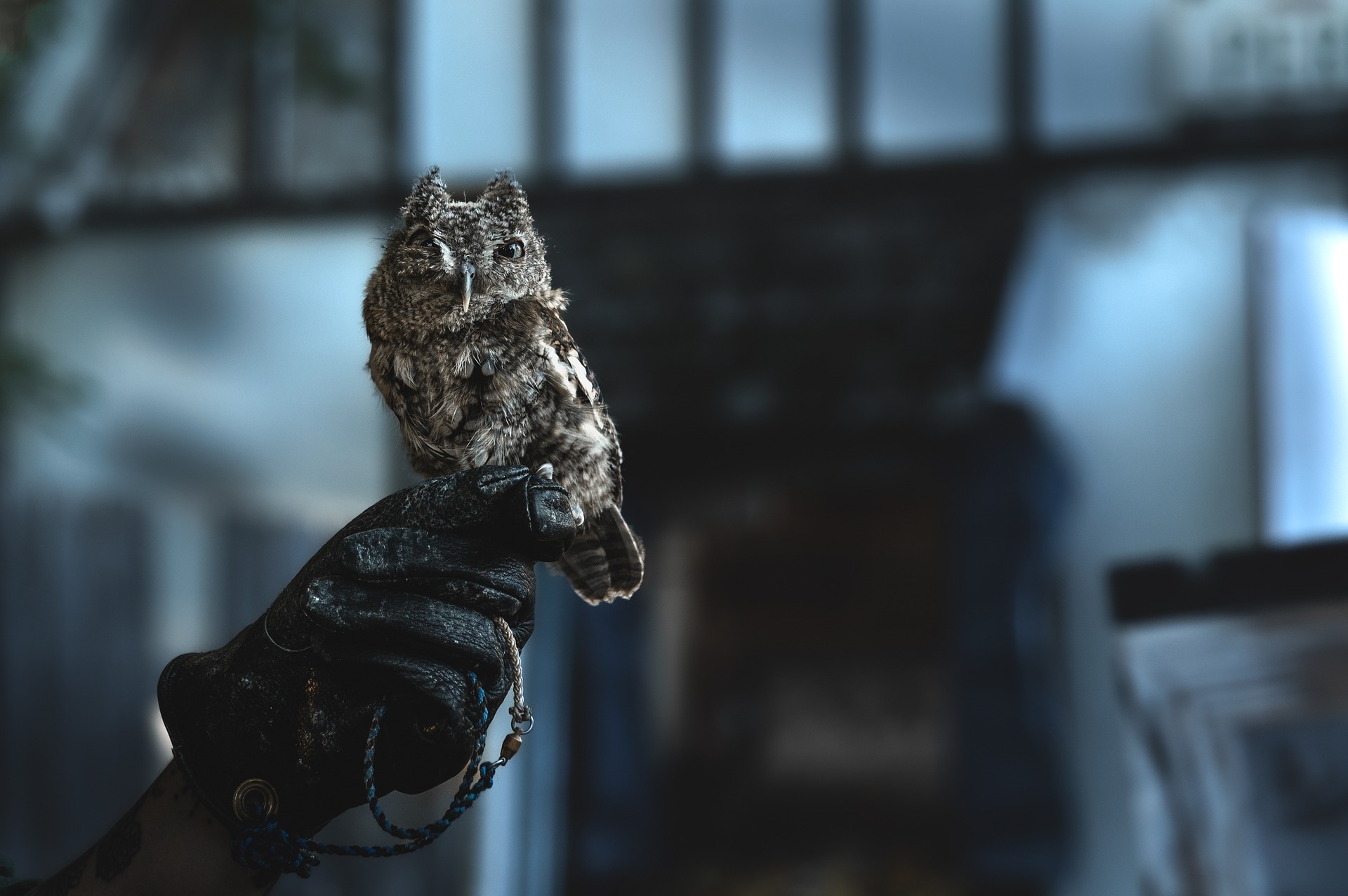 Navigating Medicaid Spend Down Rules for Financial Peace of Mind