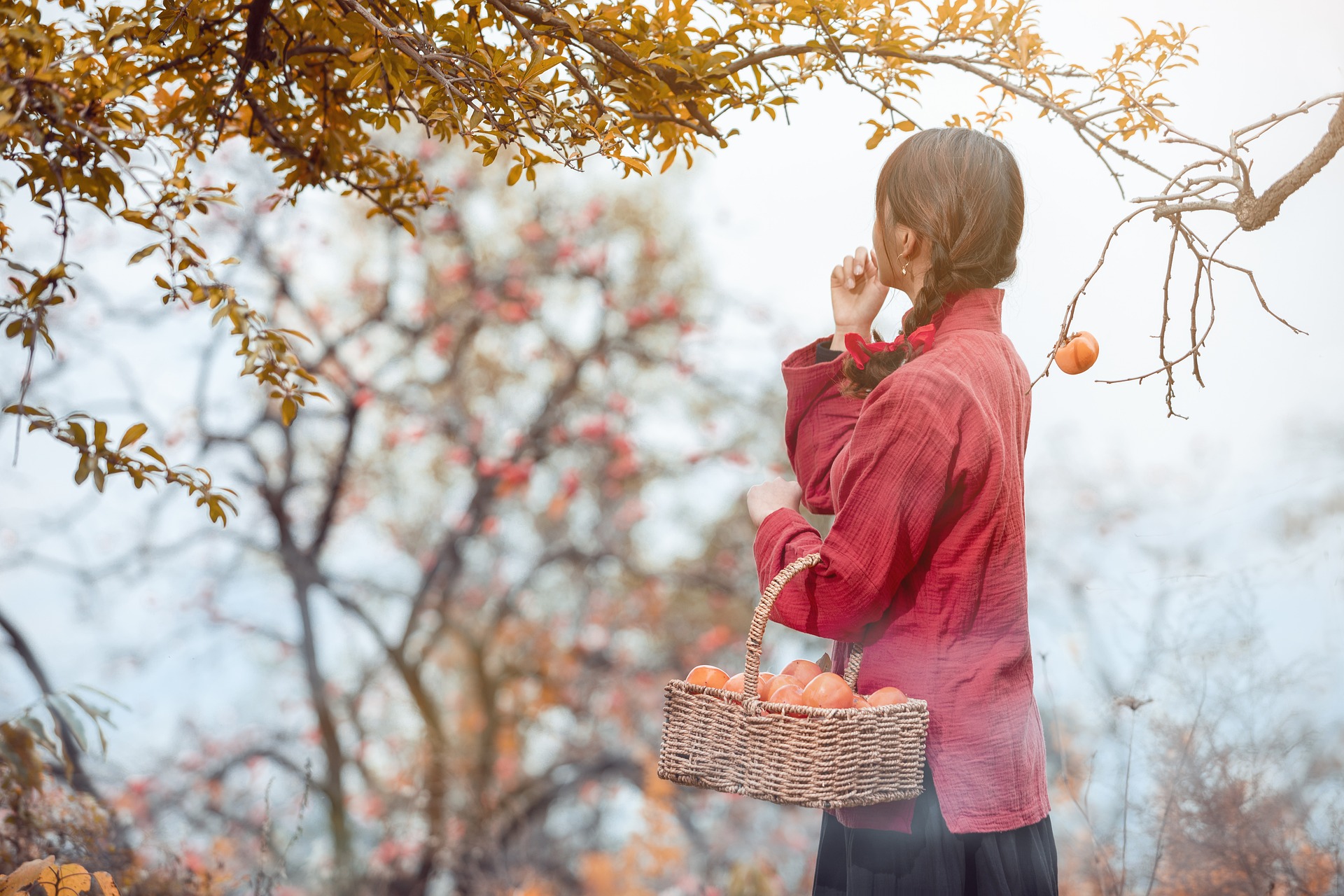 The Dos and Don’ts of Medicaid Spend Down Strategies