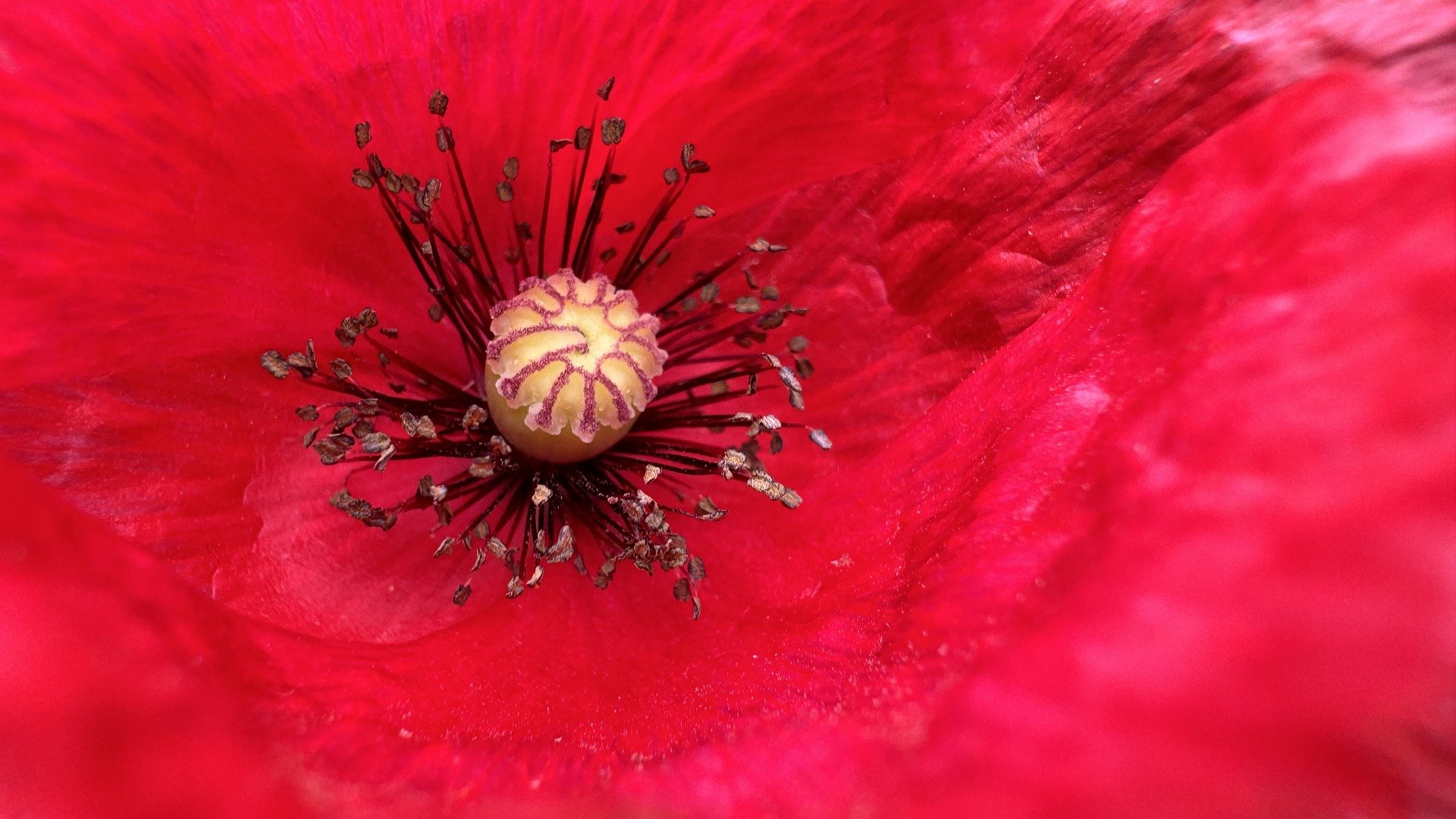 Understanding Probate Fees: How Much Will It Cost You?