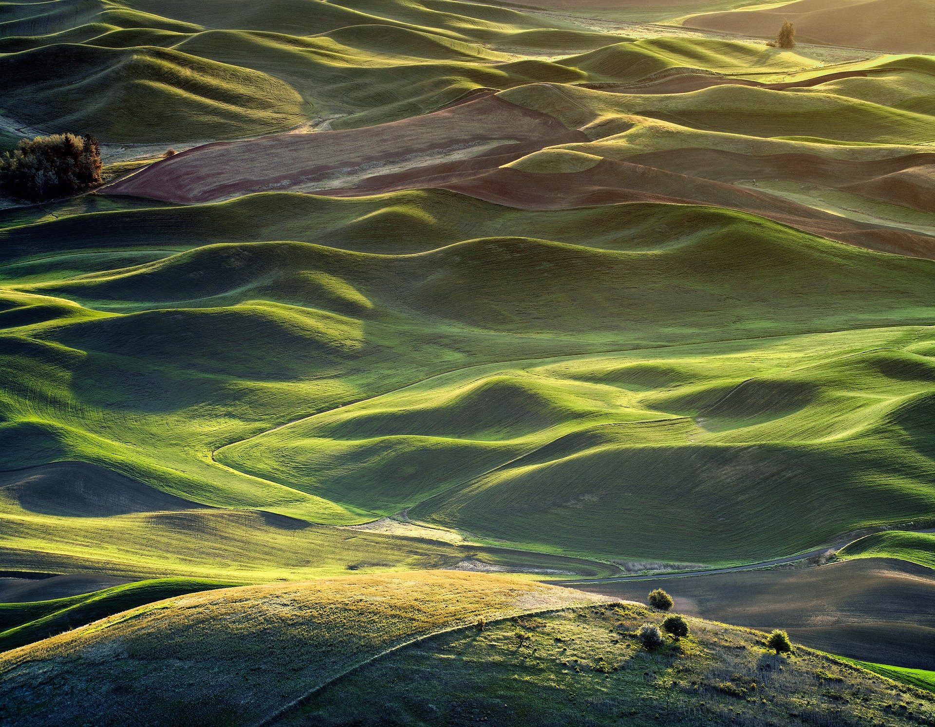 Probate Court vs. Small Claims: How Estate Value Affects Process