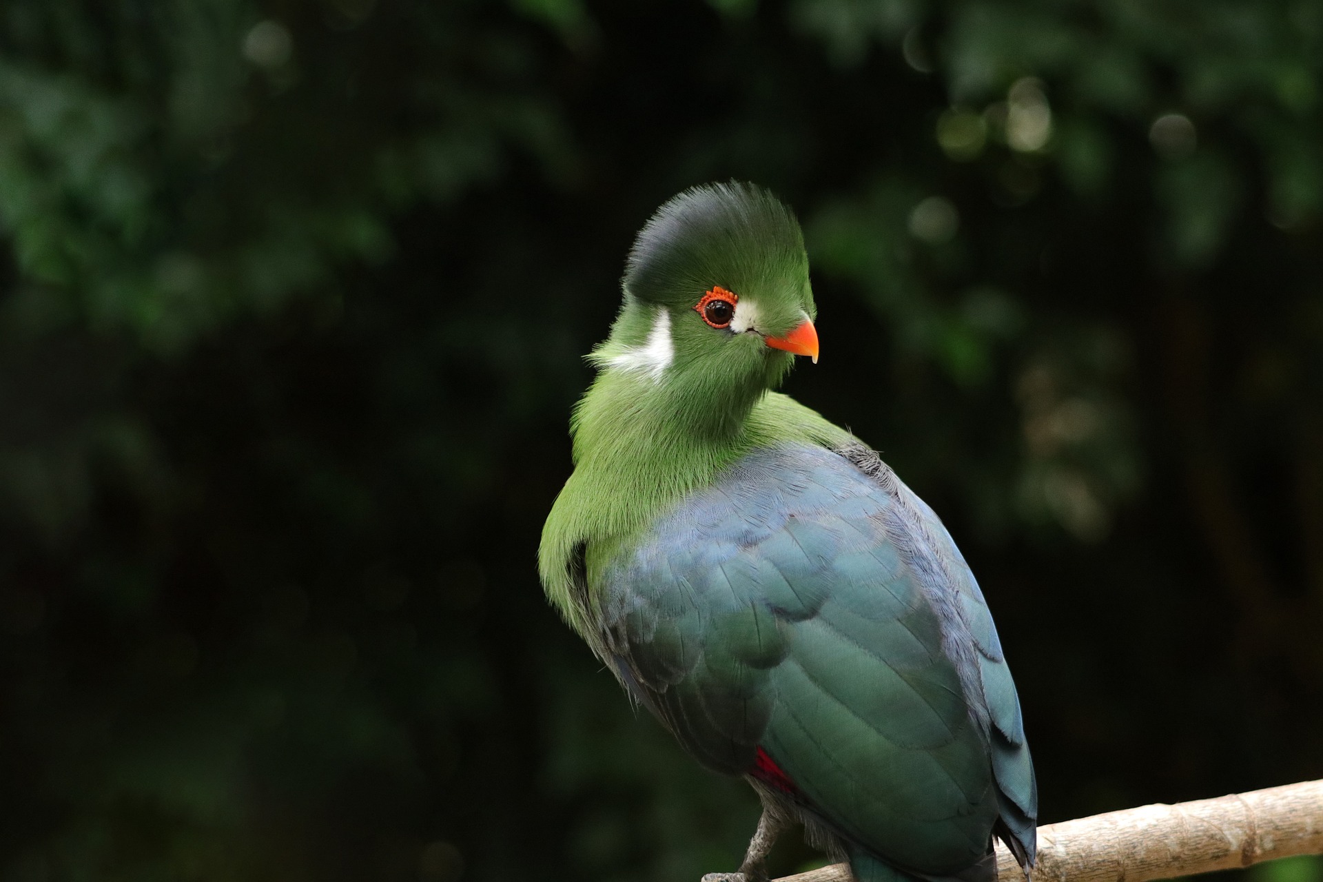 How Pensions Can Boost Your Social Security Income