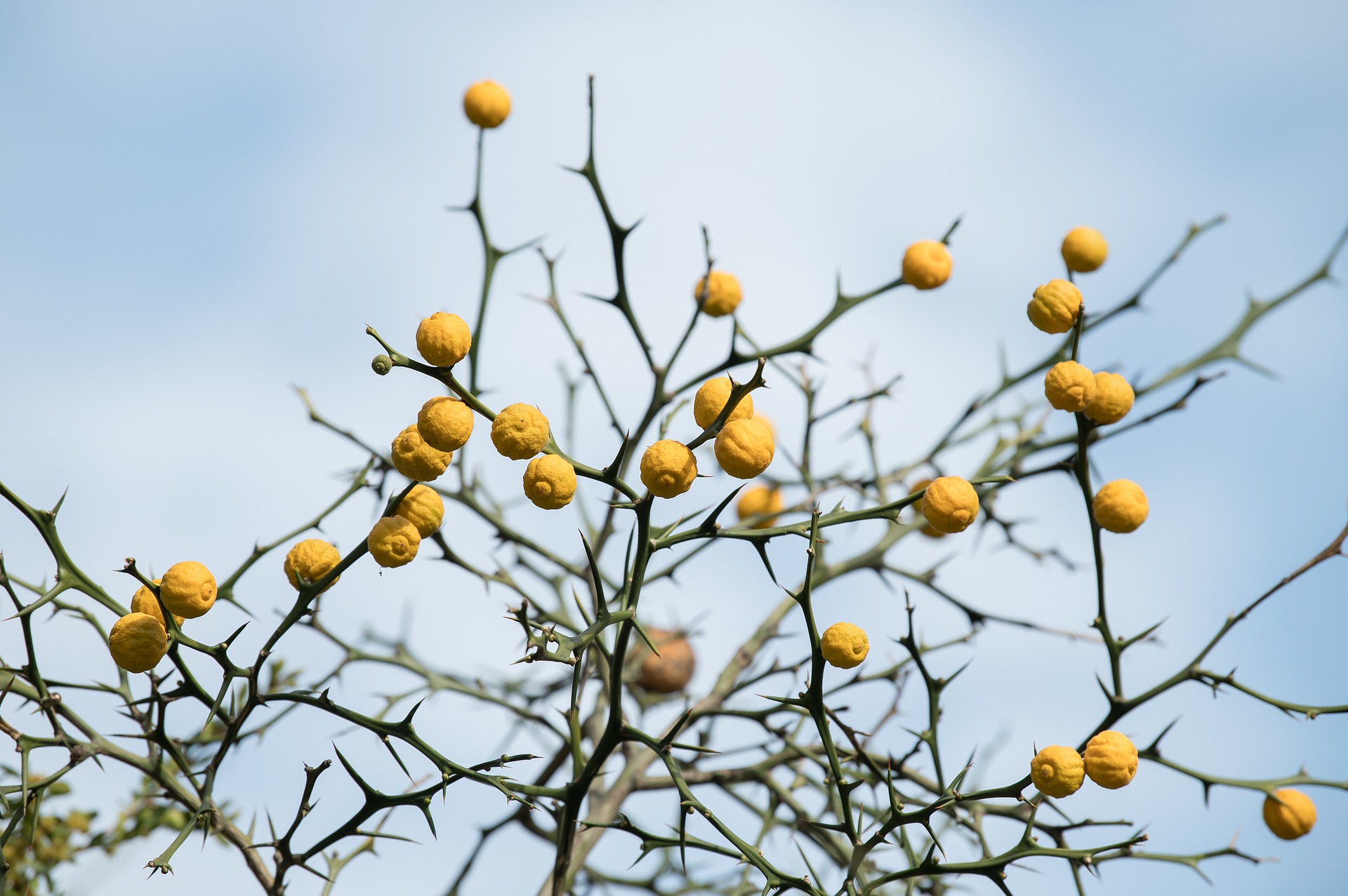 The Best Age to Start Taking Your Pension: A Financial Advisor’s Perspective