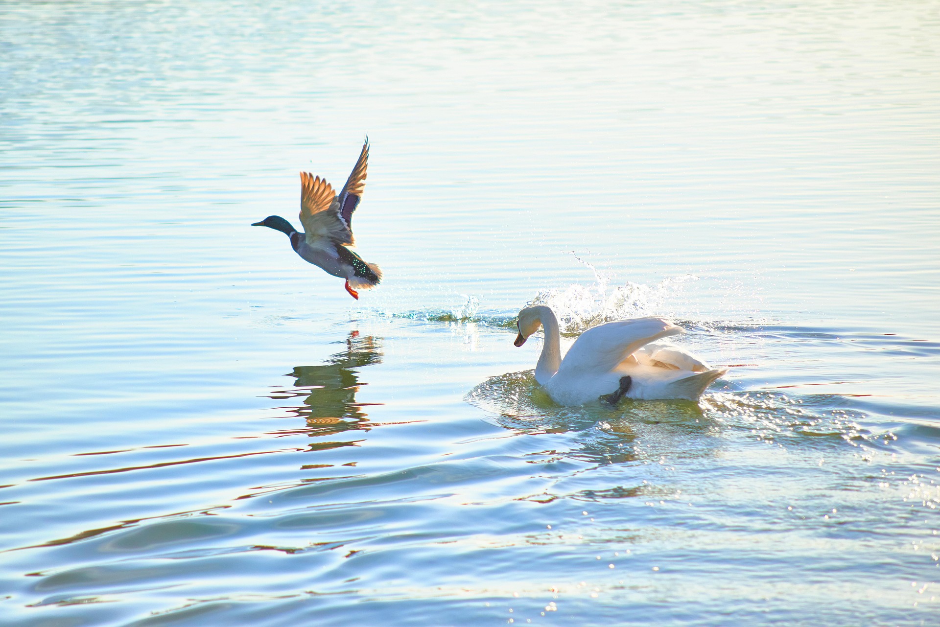 The 4% Rule Doesn’t Guarantee Income – But This Strategy Gives You Certainty Without Sacrifice